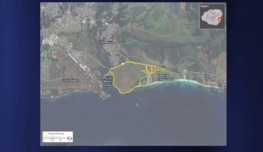 California developer plans 1,250-unit housing project at Hanamāʻulu, Kauaʻi : Maui Now
