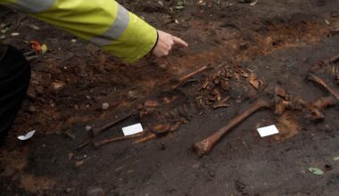 Mere end 50 skeletter dukket op i Aarhus midtby