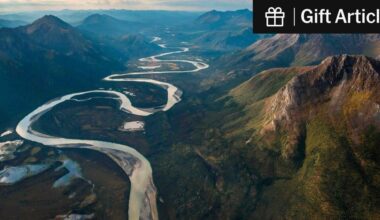 Trump Signs Order to Approve Ambler Access Road for Mining in Alaska