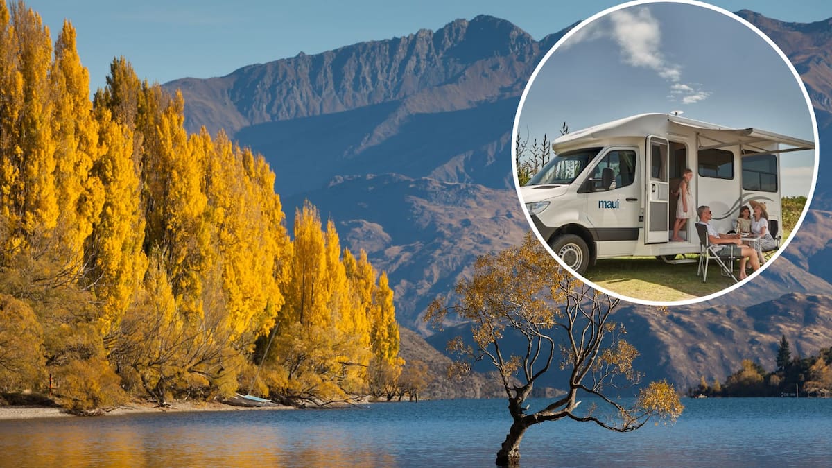 Central Otago freedom camping surge prompts tougher bylaw proposal
