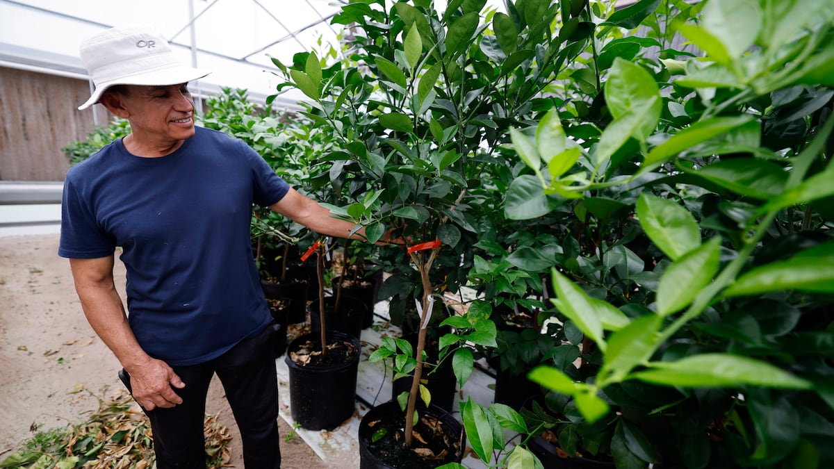 Florida farmers struggle as legal foreign workers worry about immigration crackdown - Tampa Bay Times