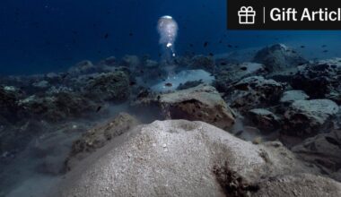 The Very Hungry Microbes That Could, Just Maybe, Cool the Planet | They feast on bubbles of methane seeping out of the ocean floor. Could their appetites be harnessed to slow climate change?