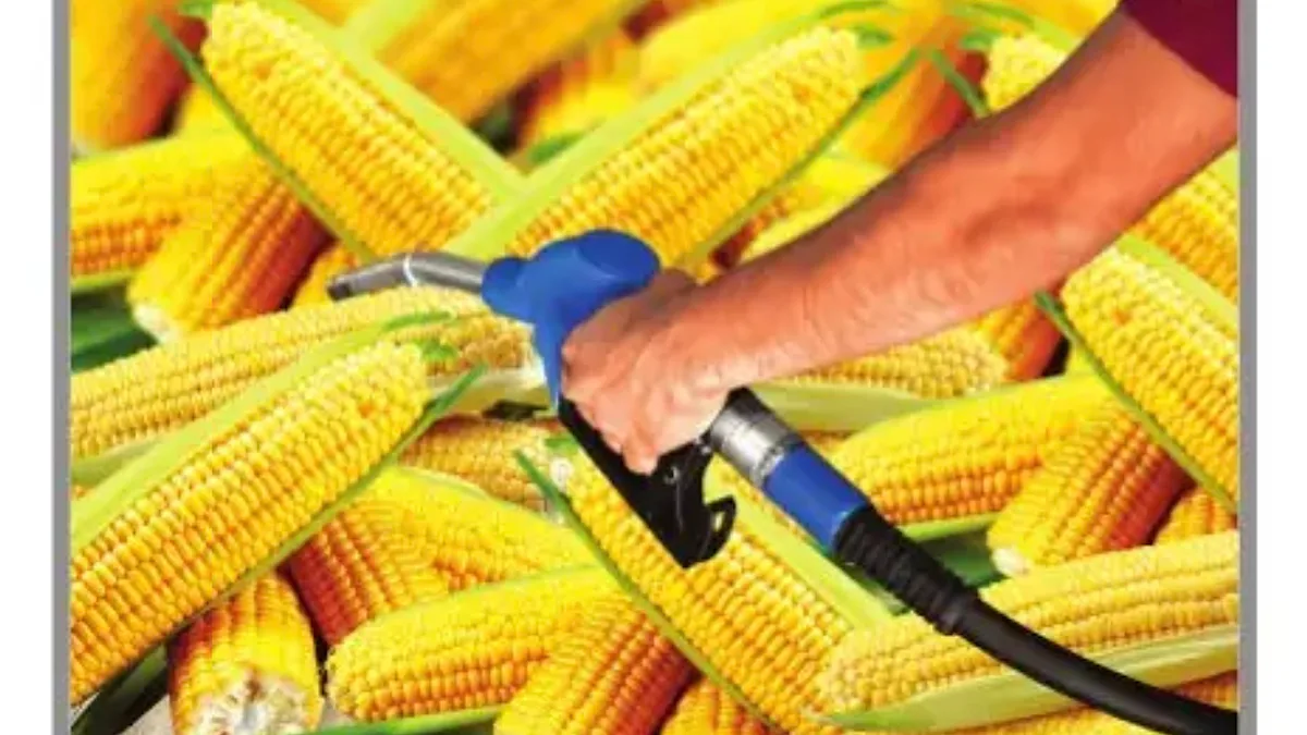Corn must become India’s new crude