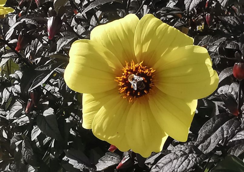 Brīvdienās Latvijā gaidāmi izteikti rudenīgi laikapstākļi