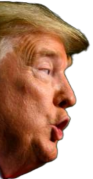 IMG_20251018_1753261.png IMG_20251018_1753261.png