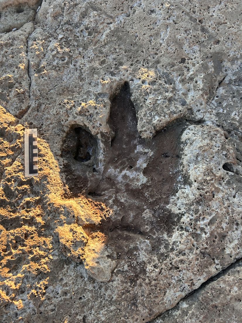 Scientists gather on Croatian island to trace the footsteps of dinosaurs