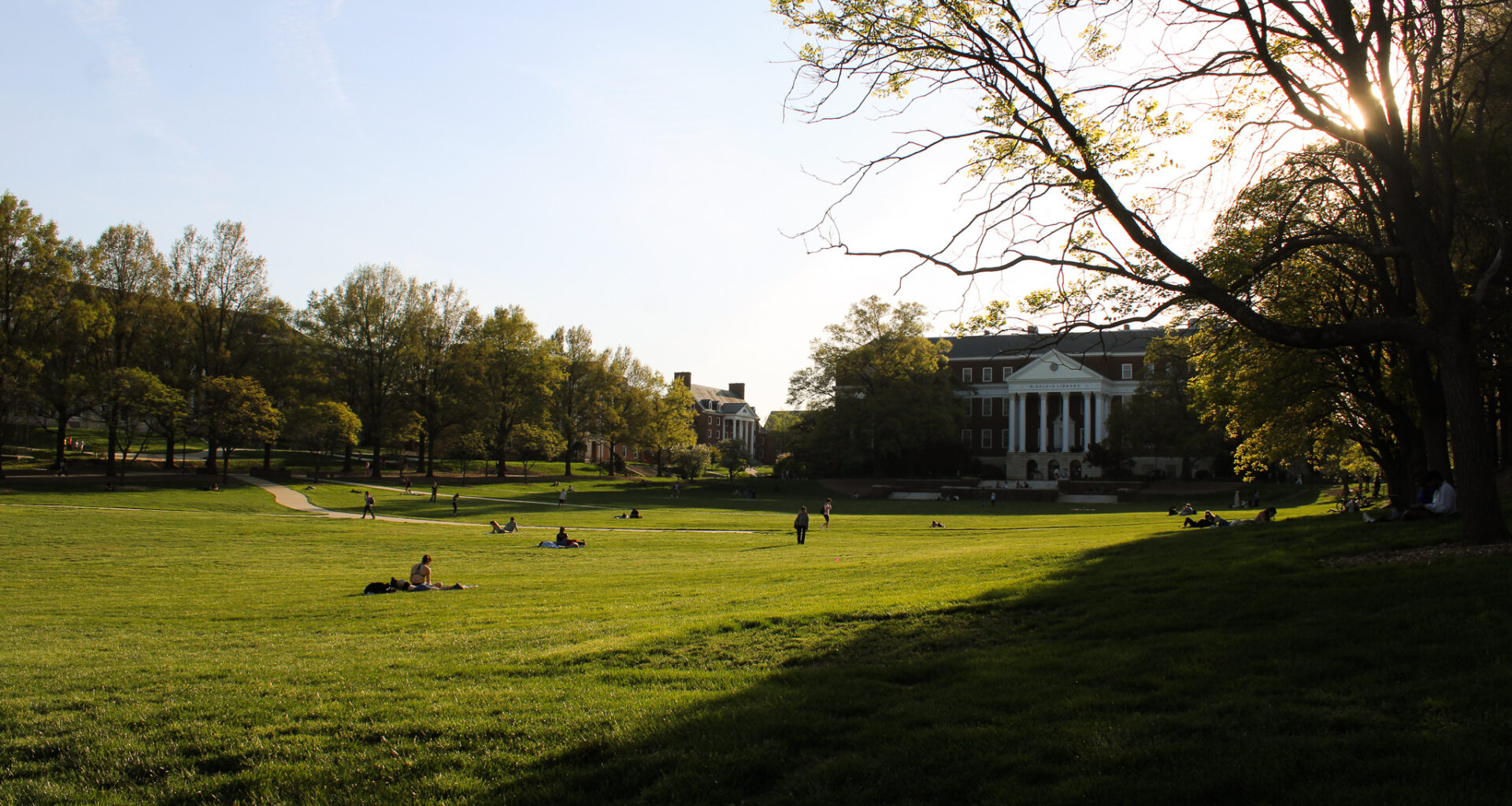 DOGE website says it cut nearly $15M from UMD grants