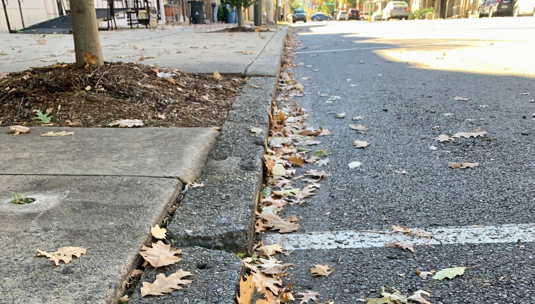 The City of Reading announces it will reuse autumn leaves for the environment, will begin collecting them on October 13