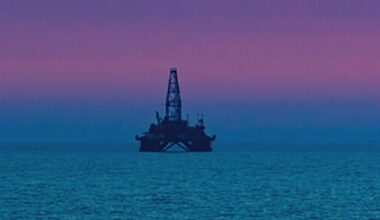NOIA depicts Gulf of America as anchor of US energy independence and maritime strength