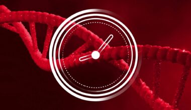 Study: A full life cycle biological clock based on routine clinical data and its impact in health and diseases. Image Credit: vectorfusionart / Shutterstock