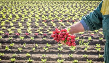 Organised crime infiltrates CAP, EUR 20 million fraud uncovered in Italy