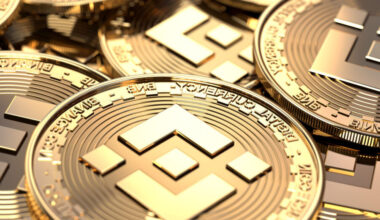 BNB Defies Market Chaos to Lead Crypto’s October Rally