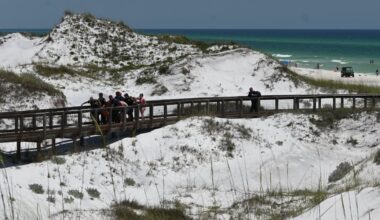 Red tide numbers increasing along Florida’s Gulf Coast