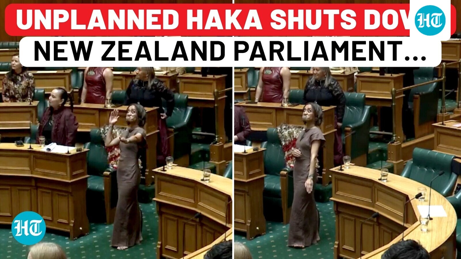 Sudden Haka stuns New Zealand parliament, speaker suspends session after gallery defies rules