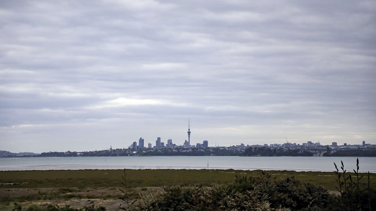 Body found floating in Te Atatū Peninsula inlet, West Auckland, police investigating