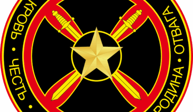 Anyone ever thought ab sending mercenaries to rainforests to stop the deforestation? SERIOUS. all the big companies do is lie and continue chopping and burning. what else can we do that shows results?