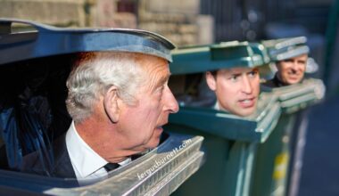 King charles prince william prince andrew wheelie bin better