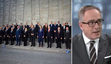 Fischer zu Reaktion auf Russland: "Nato hat sich ganz heftig blamiert"