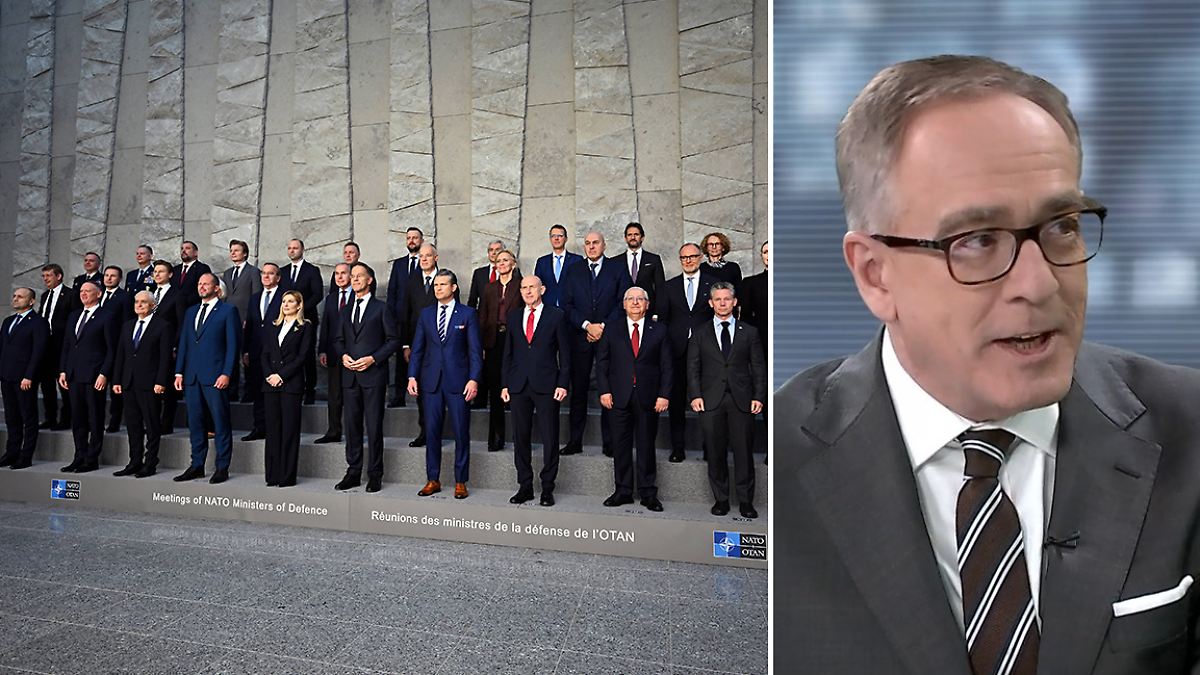 Fischer zu Reaktion auf Russland: "Nato hat sich ganz heftig blamiert"