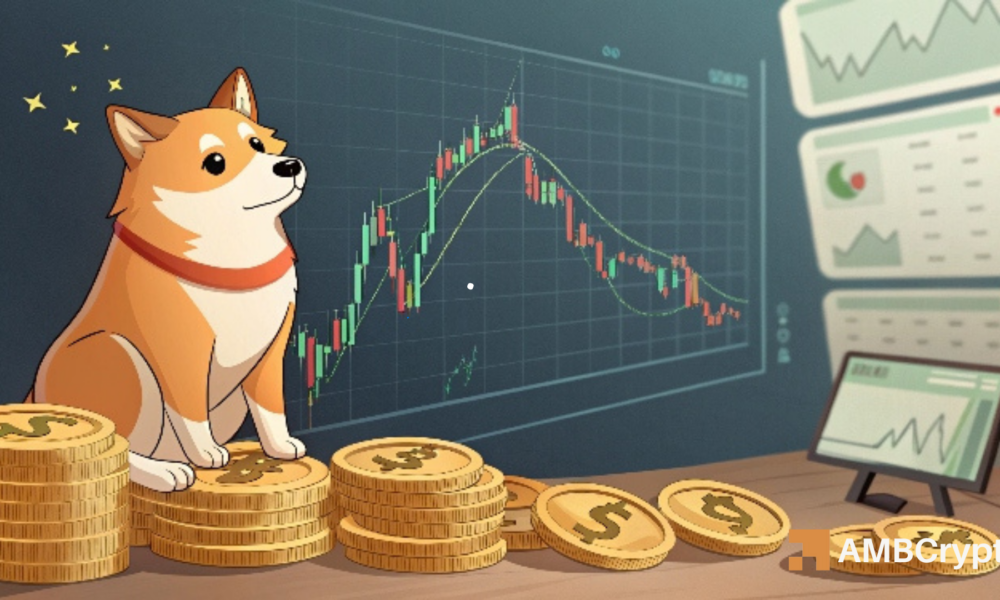 Dogecoin crashes 55% - But THIS points to a DOGE reversal