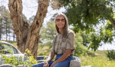 Casper program to cut unsafe trees felled by DOGE’s ax