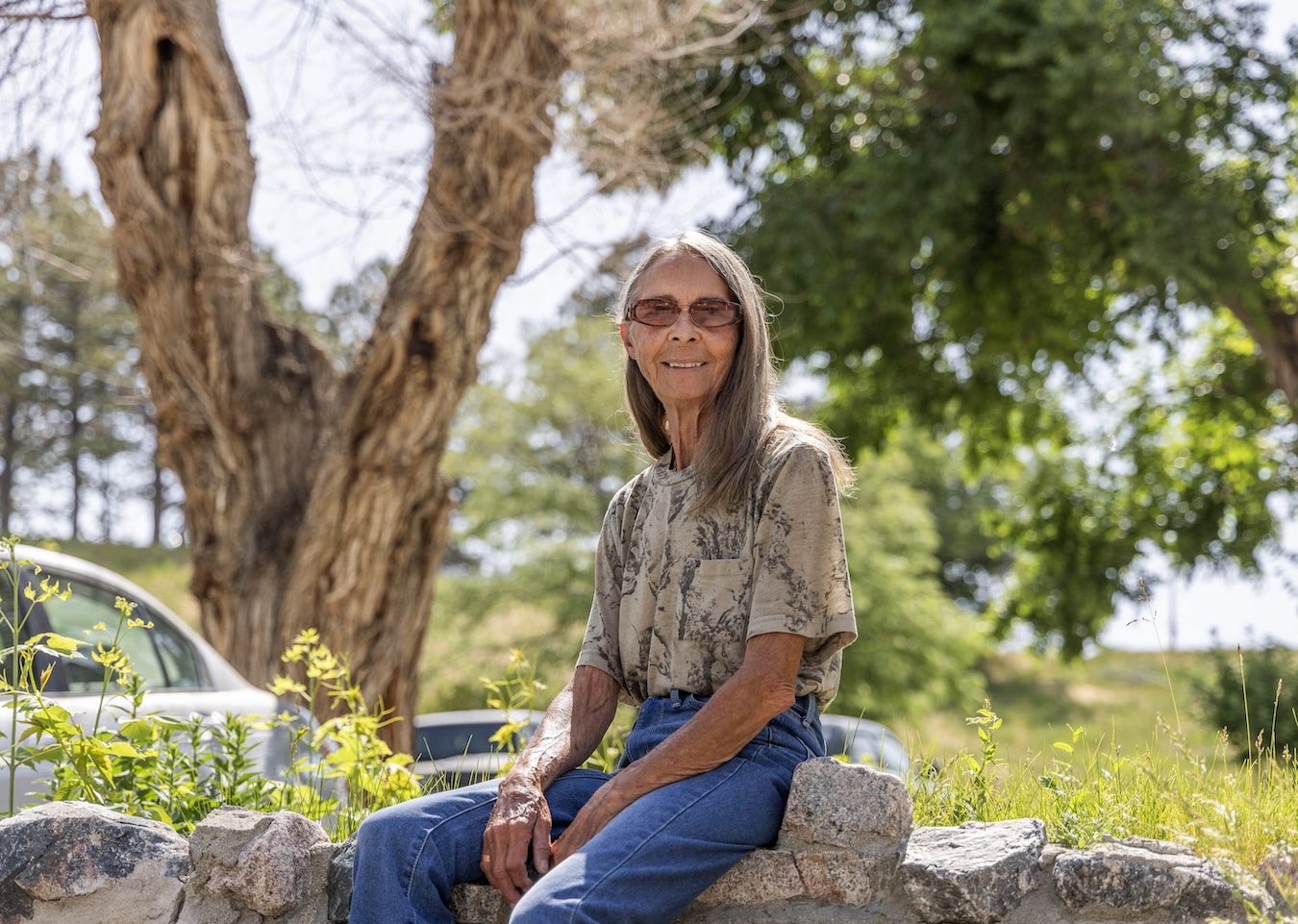 Casper program to cut unsafe trees felled by DOGE’s ax