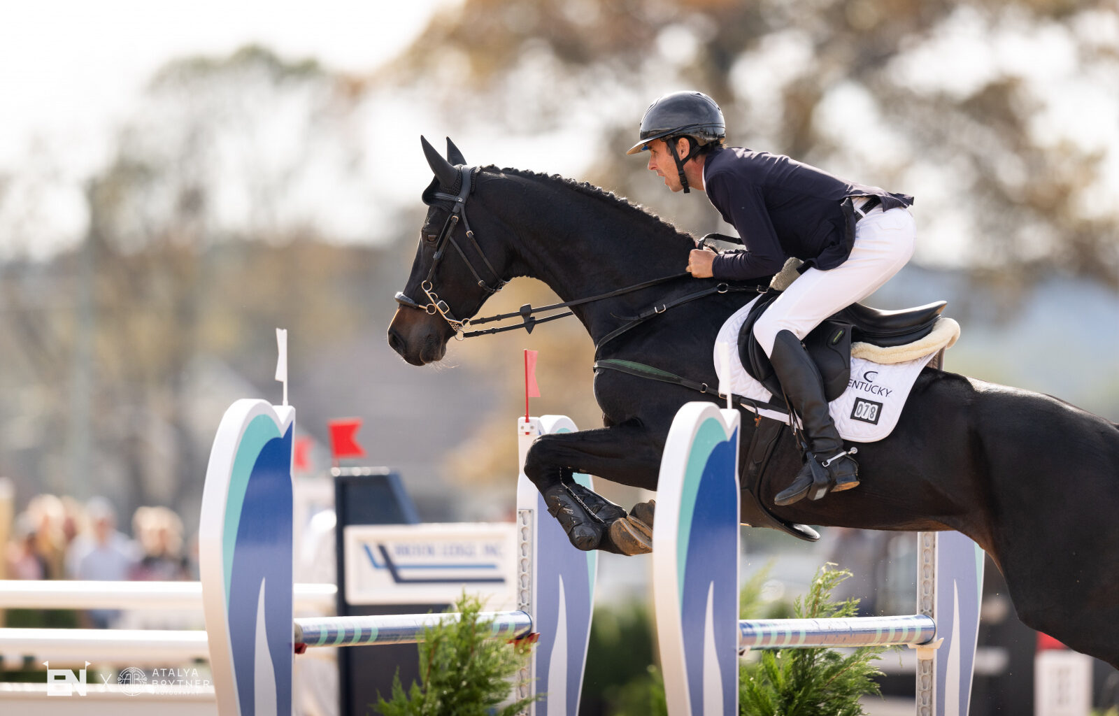 All the Way Up: Felix Vogg Makes (More) History for Switzerland with MARS Maryland 5 Star Victory | Eventing Nation