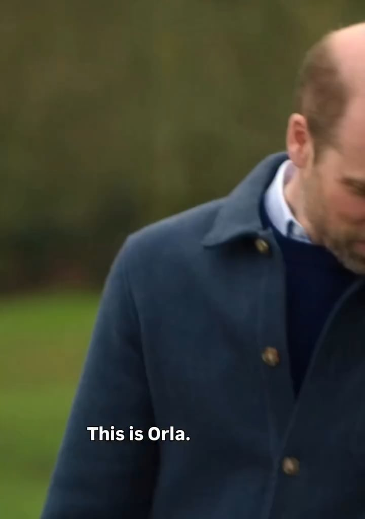 Some love for Orla, William's adorable cocker spaniel who made an appearance during his interview with Eugene Levy