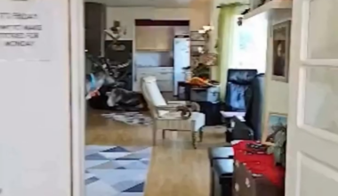 Meanwhile in Norway...