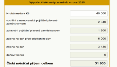 Platy na r/czech aneb kolik tady všichni berou?!1?