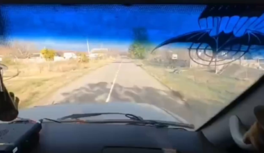 Russian soldiers record themselves getting hit by a Ukrainian FPV drone while driving (Belgorod Oblast)