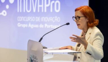 Portugal antecipa meta de 30% de áreas marinhas protegidas com nova Reserva Natural