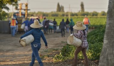 LA County supervisors declare 'immigration emergency' after federal enforcement actions