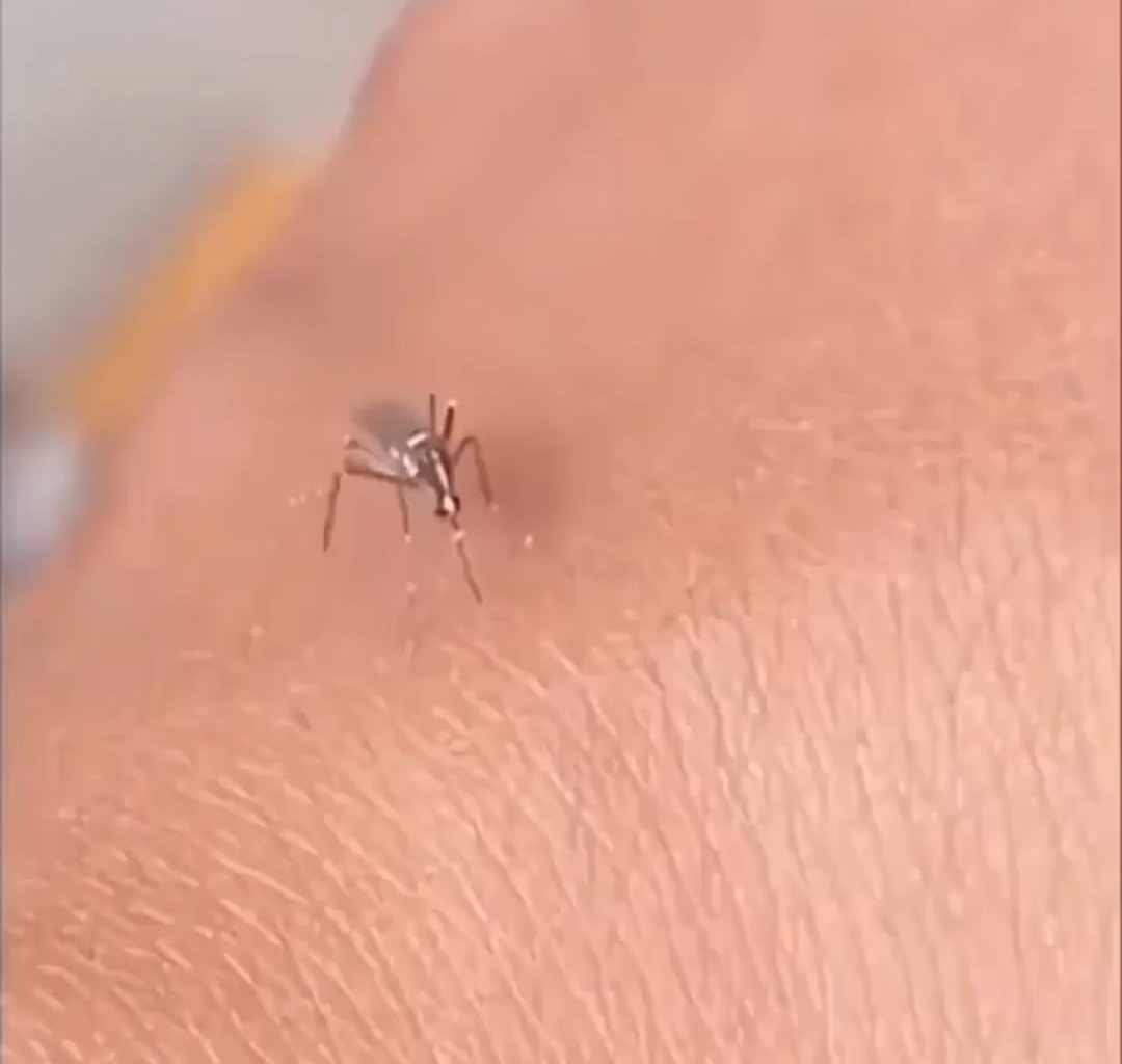 Ma chérie, c'est la première fois que ça se passe.