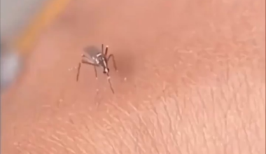 Ma chérie, c'est la première fois que ça se passe.