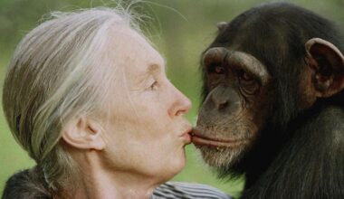 Jane Goodall, conservationist renowned for chimpanzee research and environmental advocacy, has died