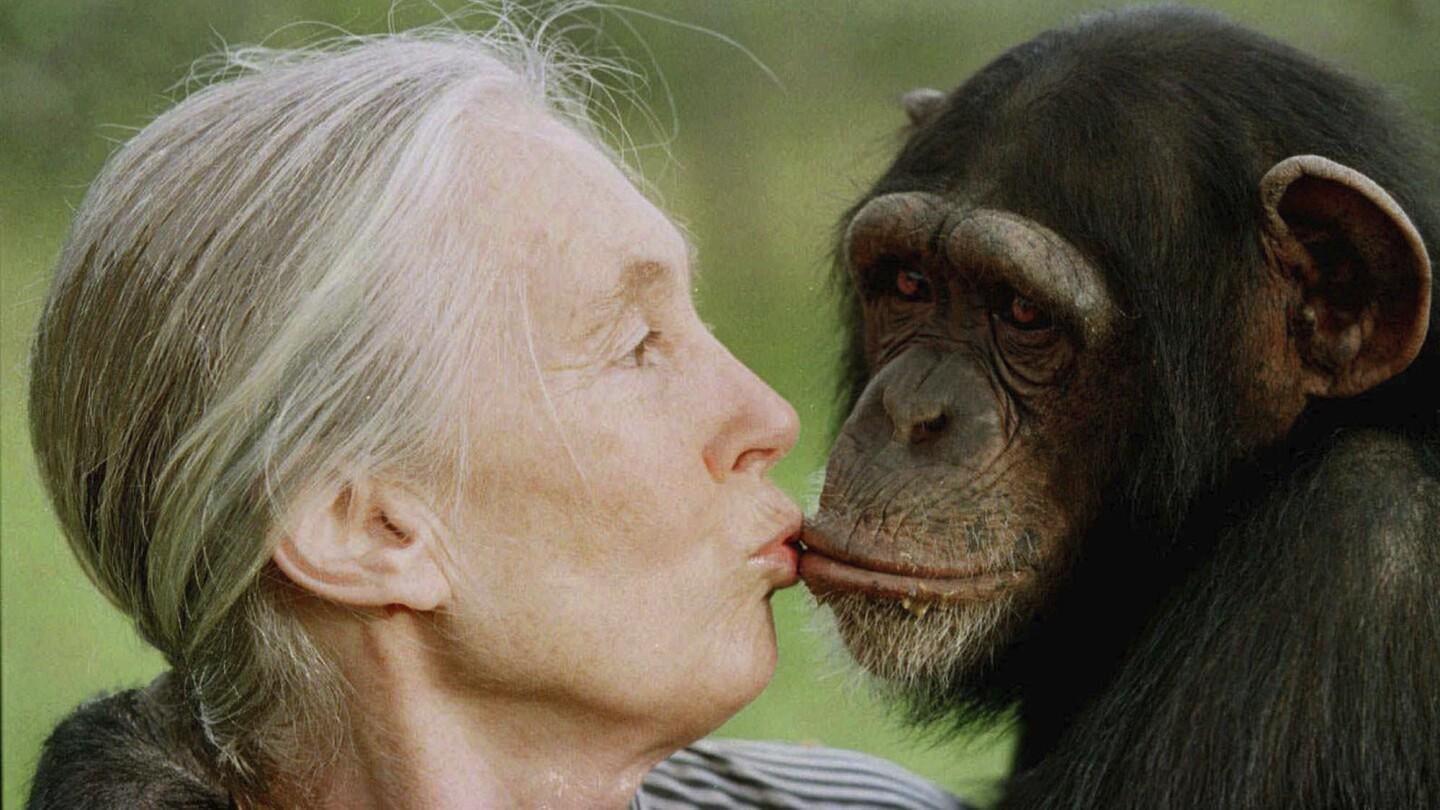 Jane Goodall, conservationist renowned for chimpanzee research and environmental advocacy, has died