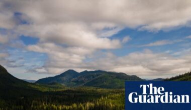 Outcry as Trump plots more roads and logging in US forests: ‘You can almost hear the chainsaws’
