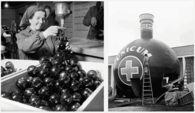 In Search of Cherished Domestic Flavours