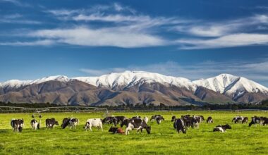 New Zealand cuts biogenic methane emissions targets