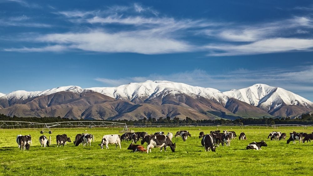 New Zealand cuts biogenic methane emissions targets