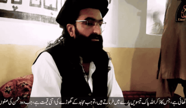 Analysis: Pakistan attempts to shift blame for TTP attacks toward India