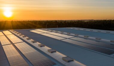 bne IntelliNews - Leading Indian renewable energy developer looks forward to IPO