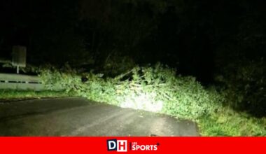 Environ 170 interventions des pompiers en province de Luxembourg durant le week-end, en grande partie à cause de la tempête Amy