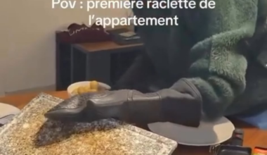 French people violating Raclette equipment