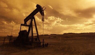 Russia to remain India's No 1 crude oil supplier: Analysts