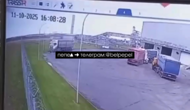 Ukrainian drone destroys a truck in Proletarskii, Belgorod Oblast. 11 October 2025