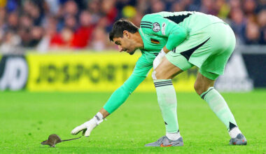 France held in Iceland, while Germany win