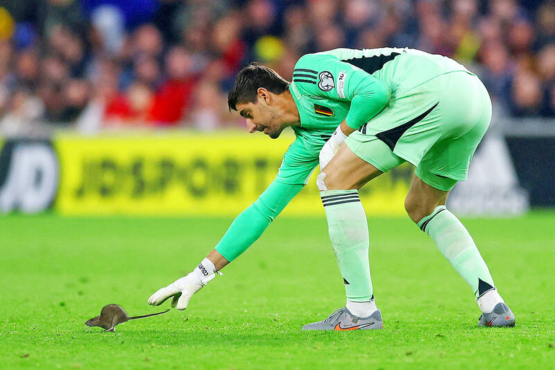 France held in Iceland, while Germany win