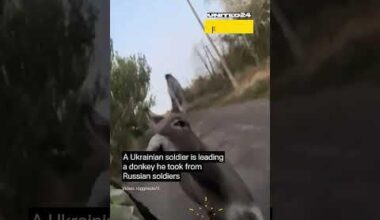 Ukrainian Soldier Is Leading a Donkey He Took From Russian Troops